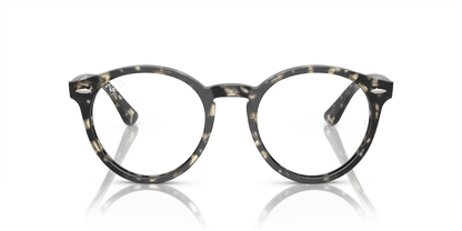RAY-BAN RX7680V LARRY 8117 49
