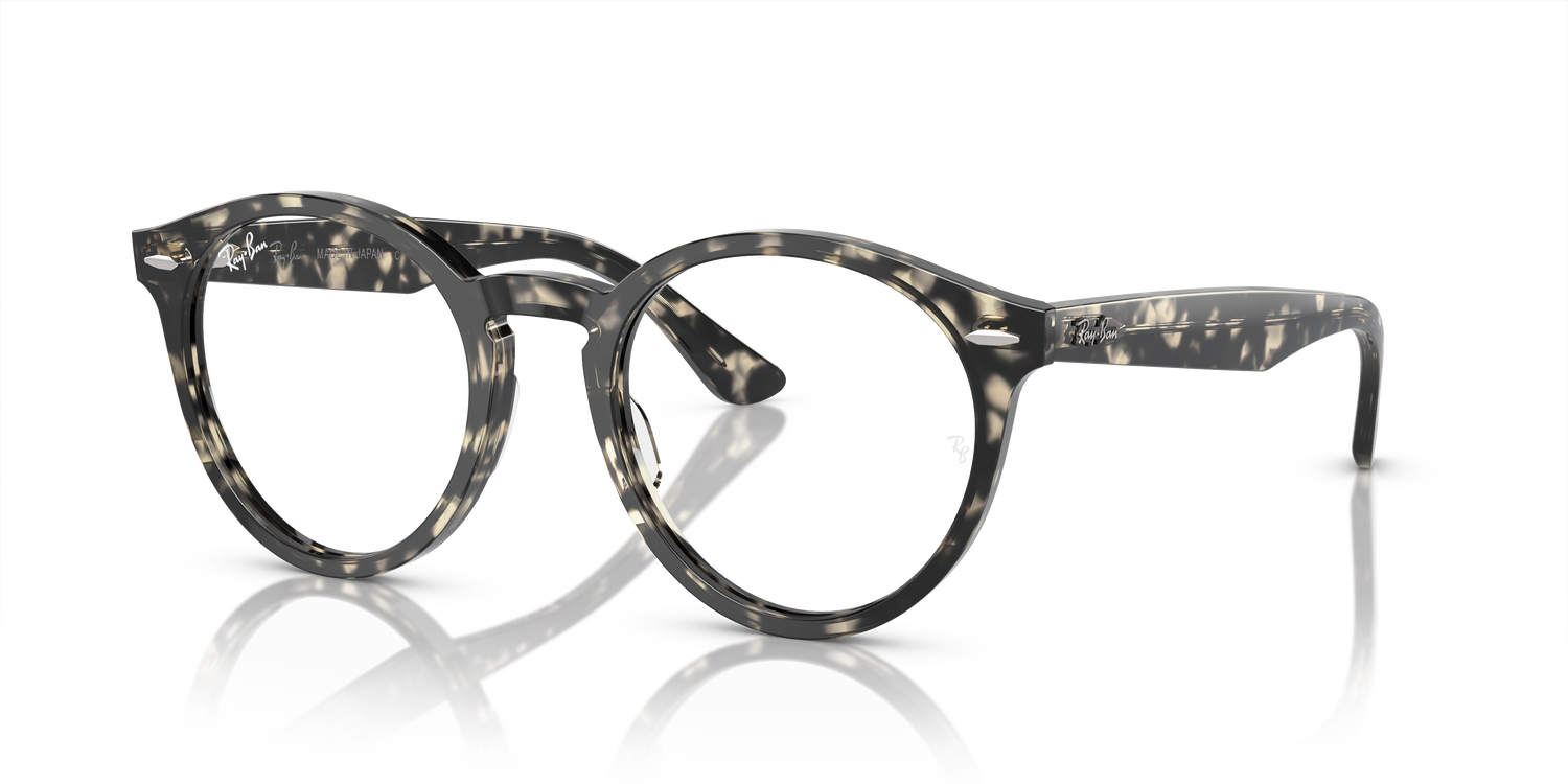 RAY-BAN RX7680V LARRY 8117 49