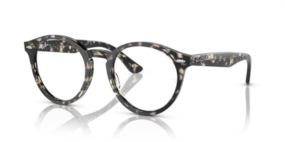 RAY-BAN RX7680V LARRY 8117 49