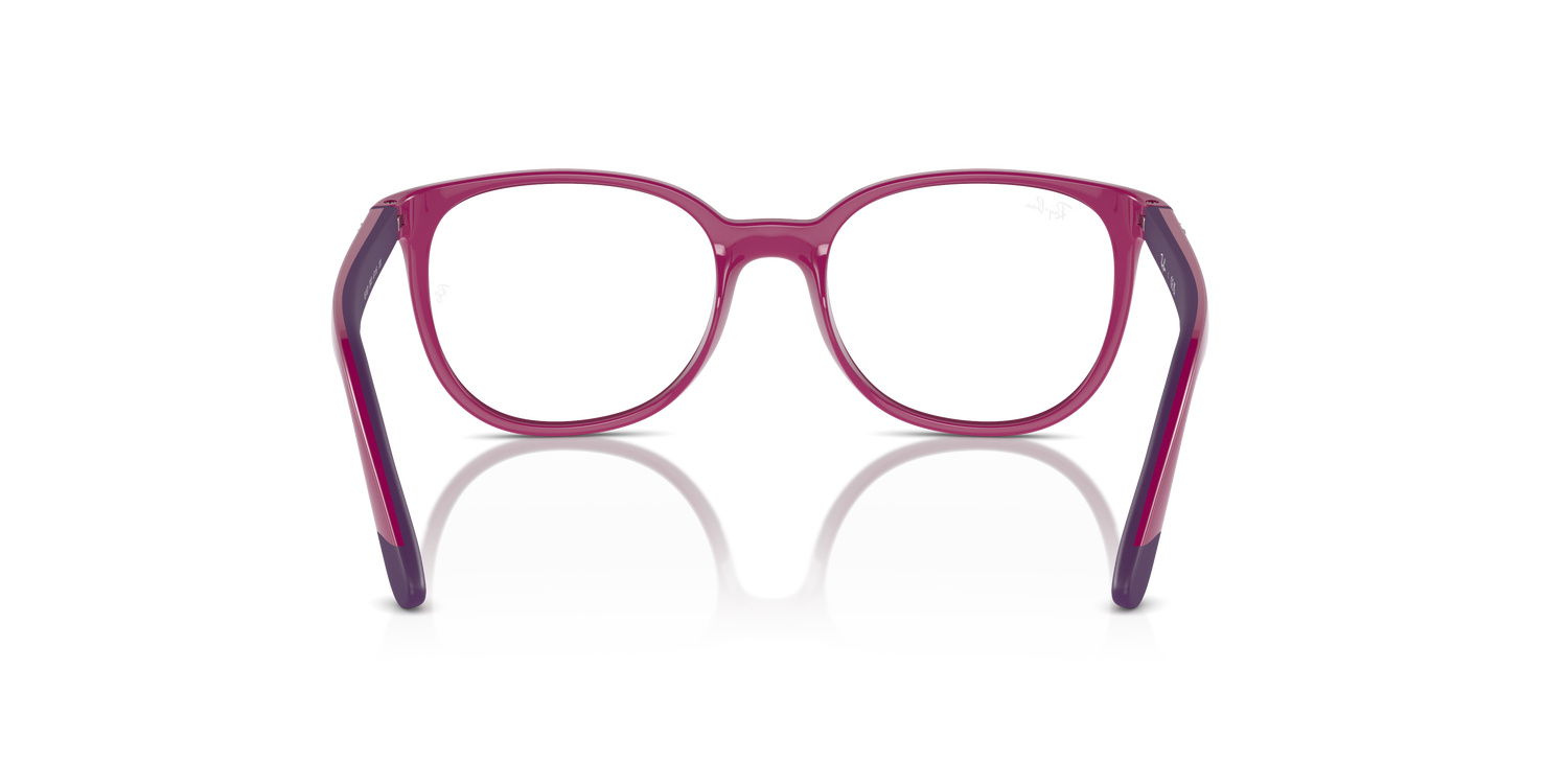 RAY-BAN JUNIOR RY1631 3933 47