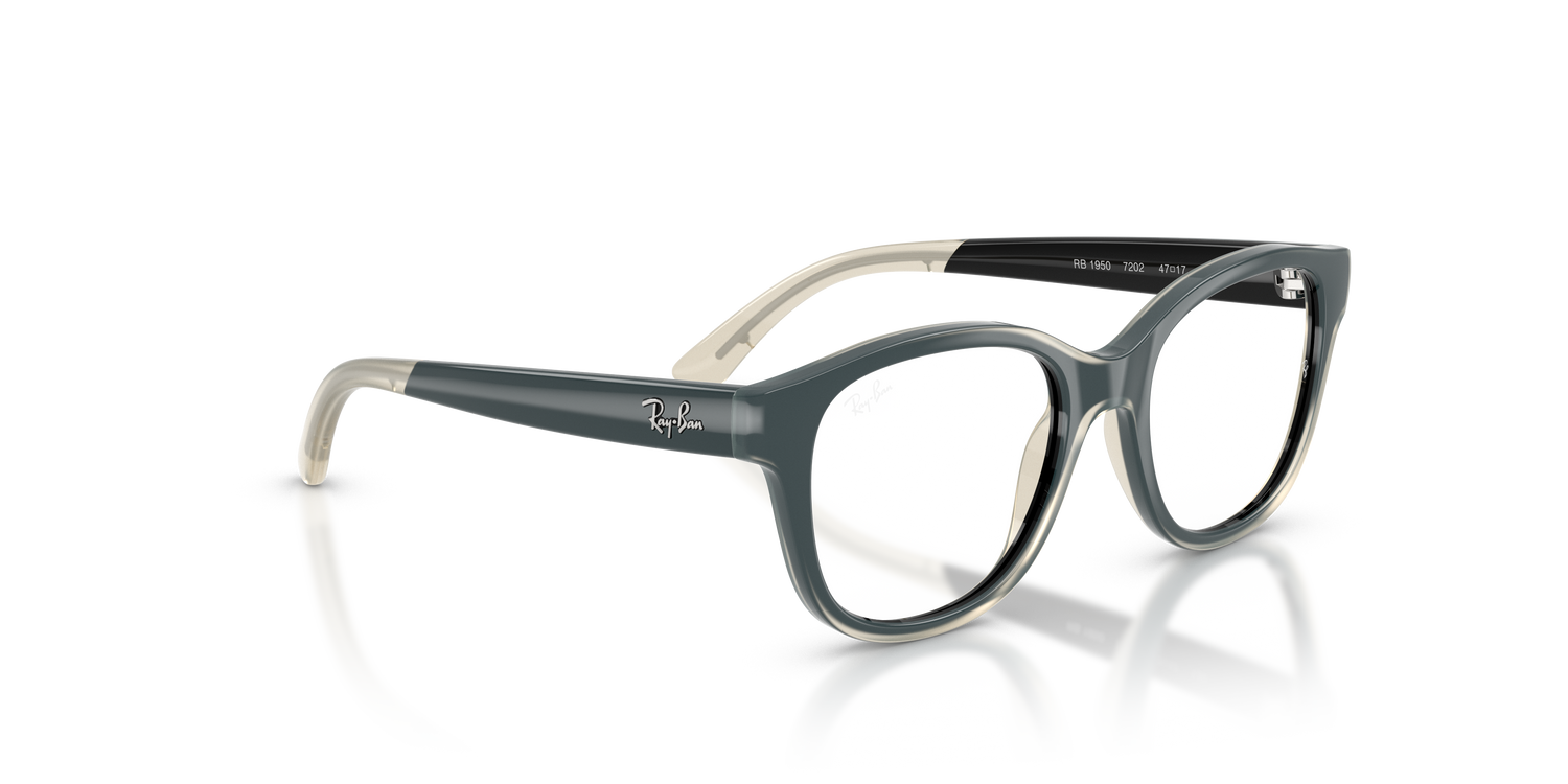 RAY-BAN JUNIOR RY1950 7202 46
