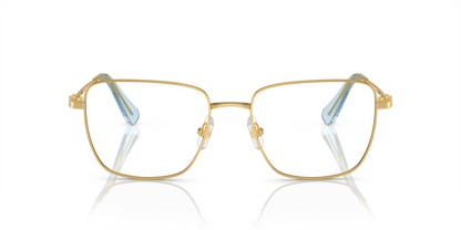 SWAROVSKI SK1003 4021 53