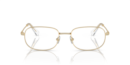 SWAROVSKI SK1005 4013 54