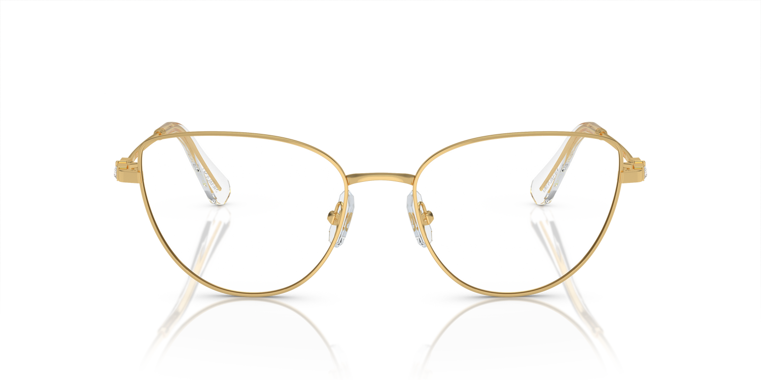 SWAROVSKI SK1007 4004 55