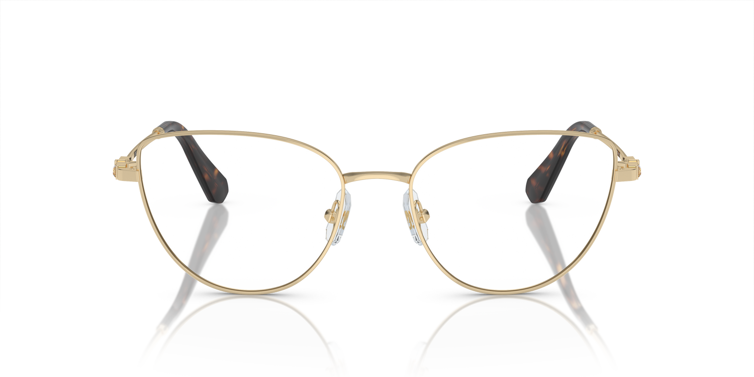 SWAROVSKI SK1007 4013 55