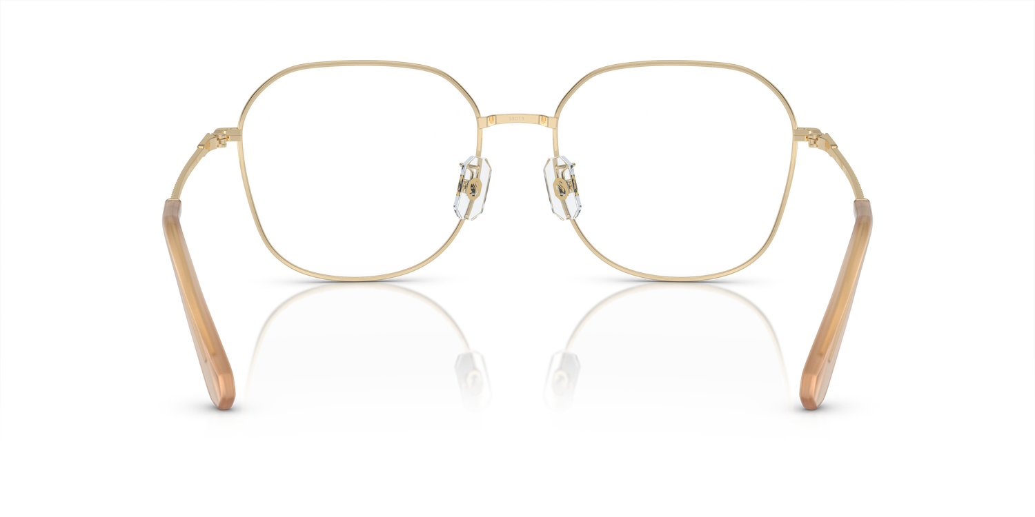 SWAROVSKI SK1009D 4013 58