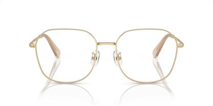 SWAROVSKI SK1009D 4013 58