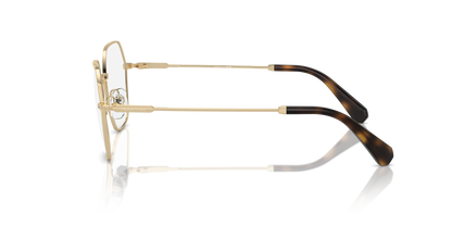 SWAROVSKI SK1011 4013 55