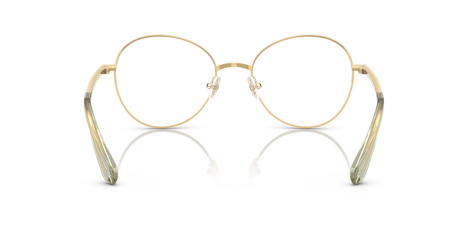 SWAROVSKI SK1013 4017 54