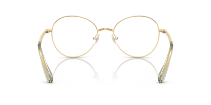 SWAROVSKI SK1013 4017 54