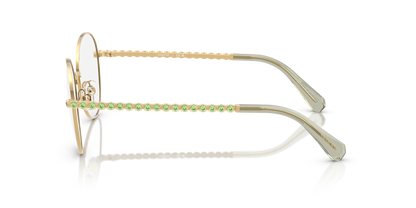 SWAROVSKI SK1013 4017 54