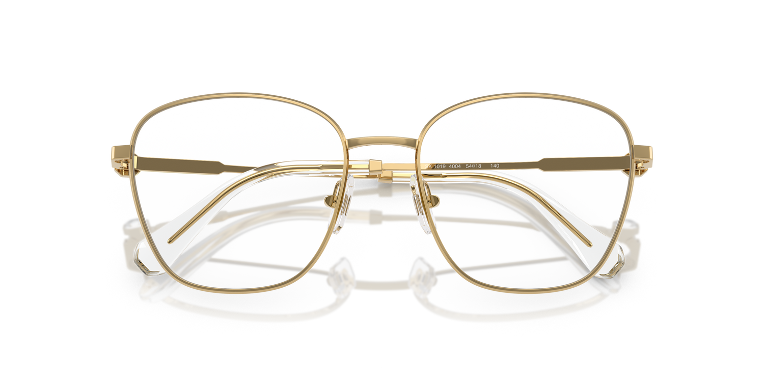 SWAROVSKI SK1019 4004 52