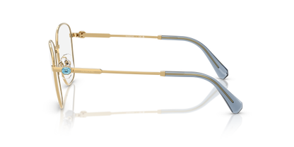 SWAROVSKI SK1019 4021 54