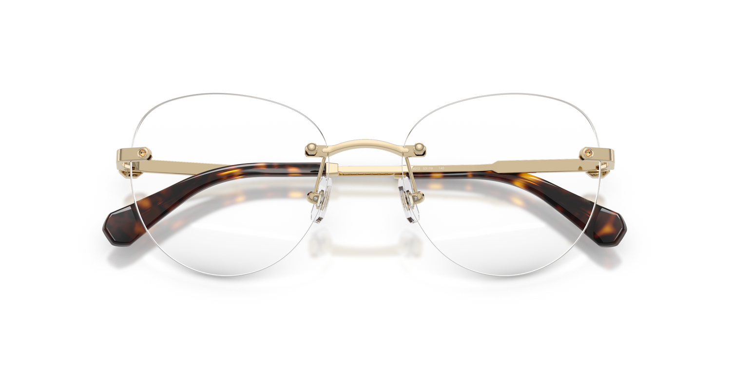 SWAROVSKI SK1021 4013 53