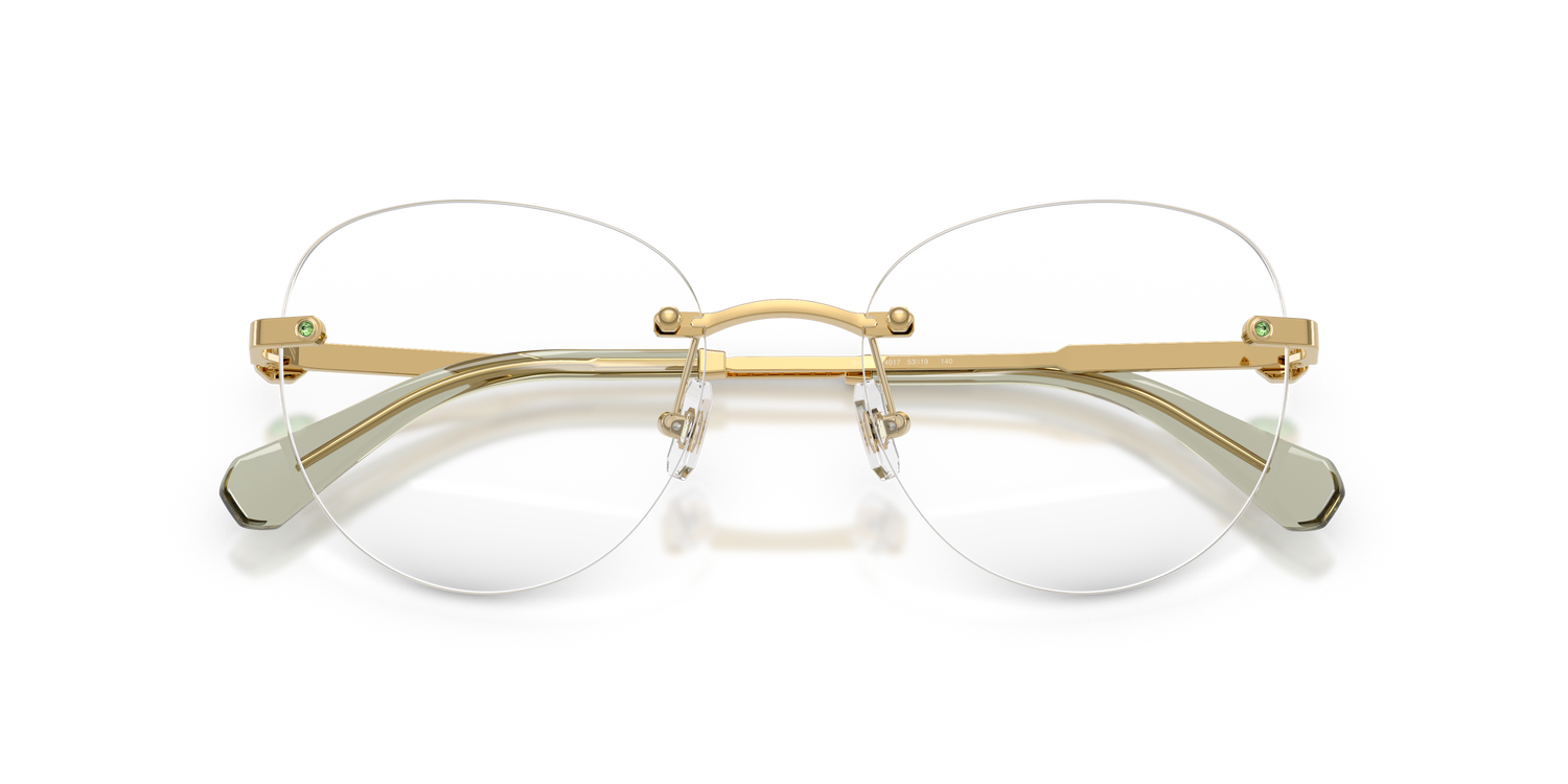 SWAROVSKI SK1021 4017 53