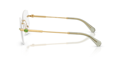 SWAROVSKI SK1021 4017 53