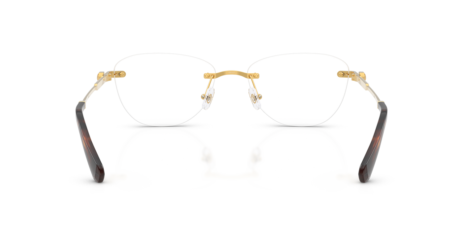 SWAROVSKI SK1035D 4007 55