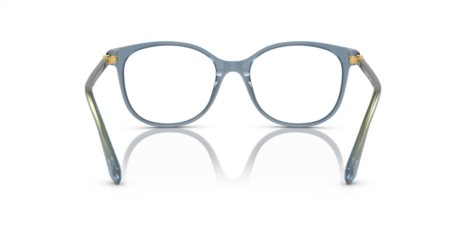 SWAROVSKI SK2002 1035 51