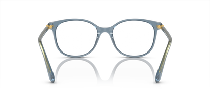 SWAROVSKI SK2002 1035 51