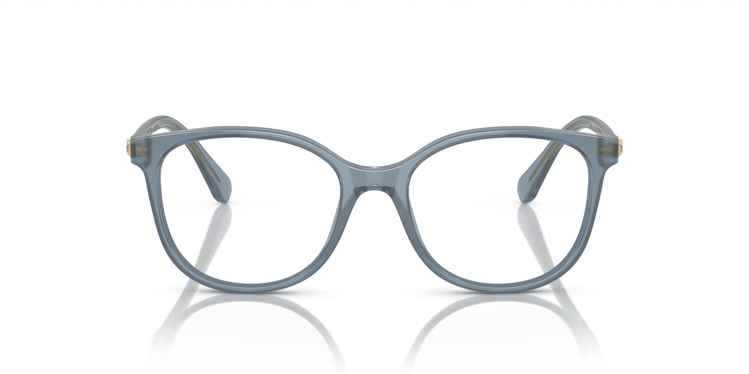 SWAROVSKI SK2002 1035 53