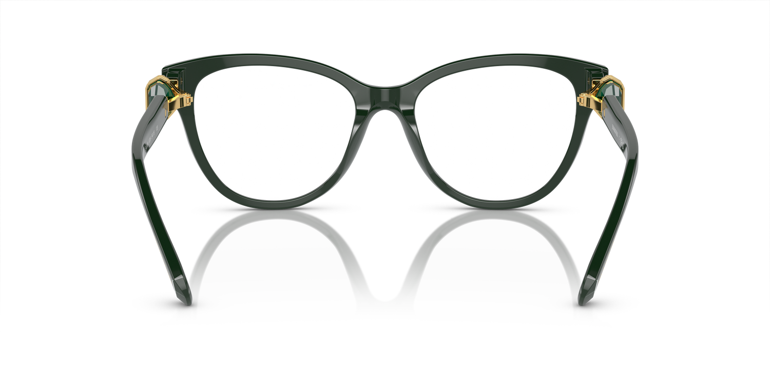 SWAROVSKI SK2004 1026 54