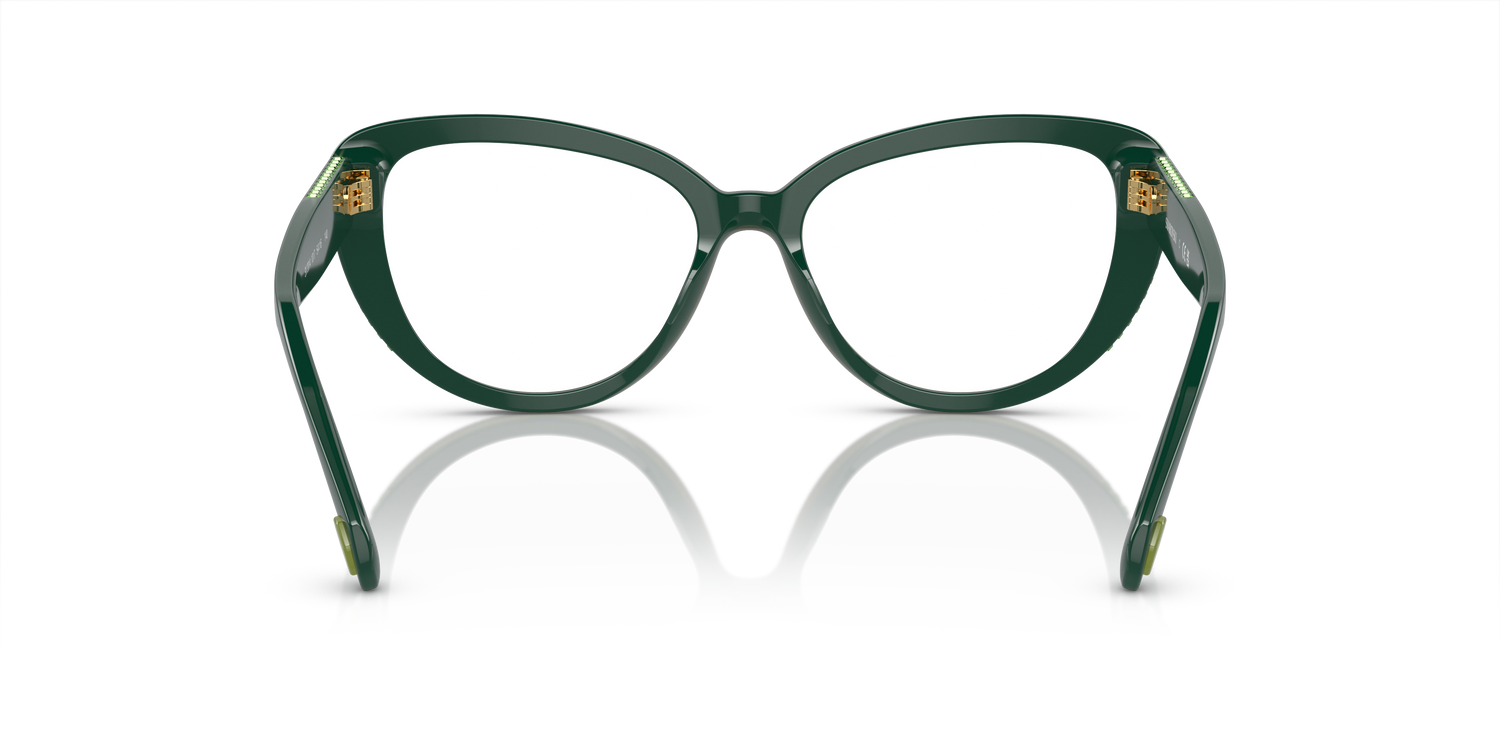 SWAROVSKI SK2014 1017 52