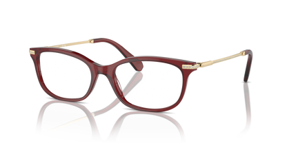 SWAROVSKI SK2017 1055 54