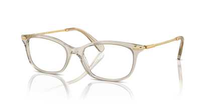 SWAROVSKI SK2017 3003 52