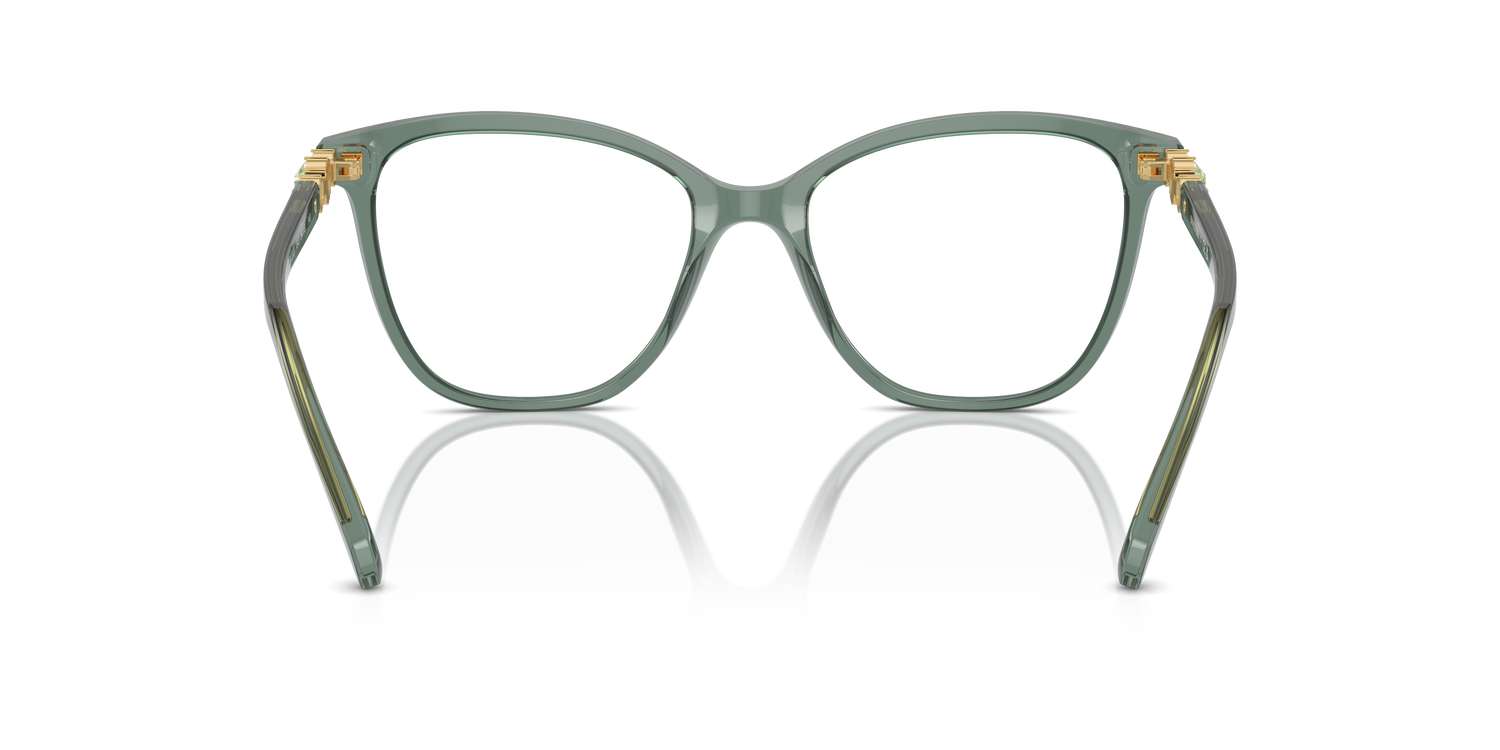 SWAROVSKI SK2020 1043 54