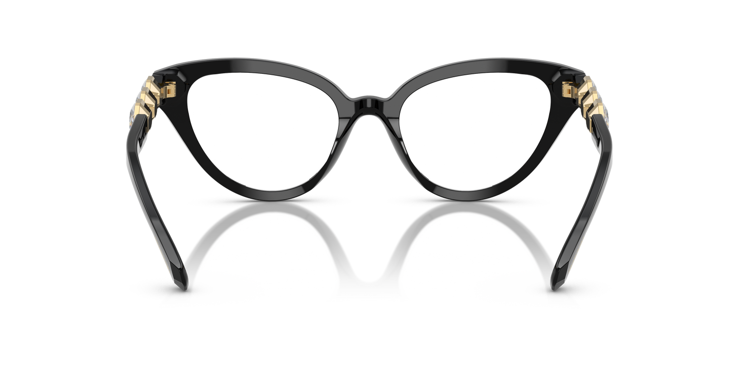 SWAROVSKI SK2028 1001 53