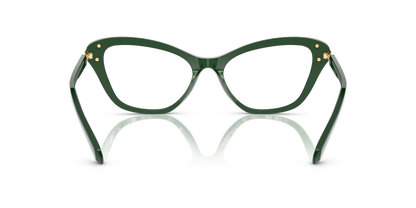 SWAROVSKI SK2031 1026 55