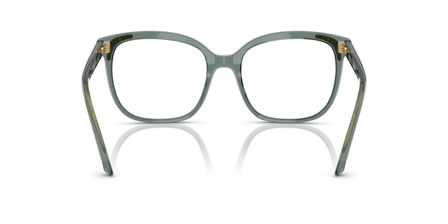 SWAROVSKI SK2033 1043 54