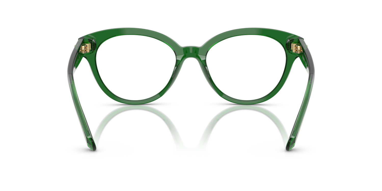 SWAROVSKI SK2037 1064 52