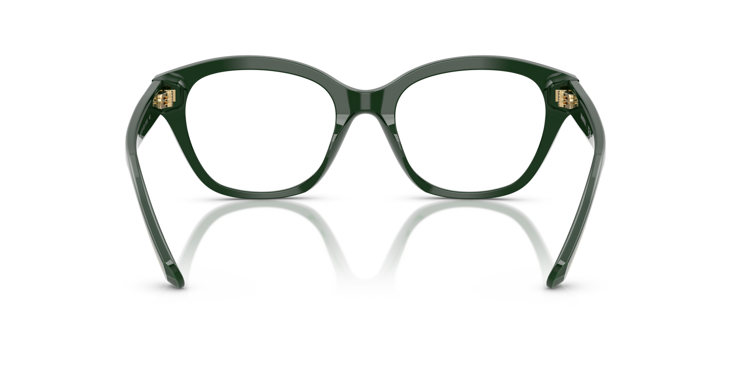 SWAROVSKI SK2038 1026 53