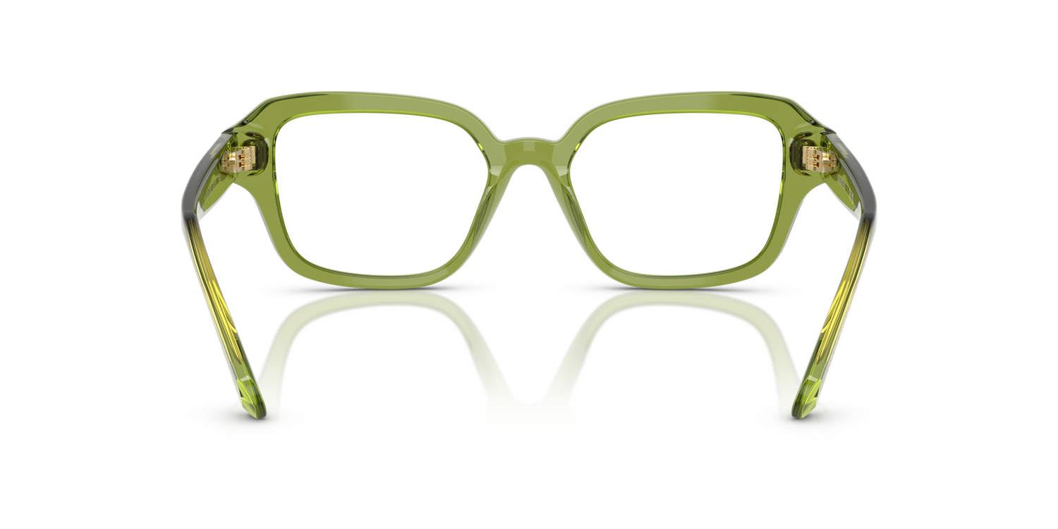 SWAROVSKI SK2039 3002 52