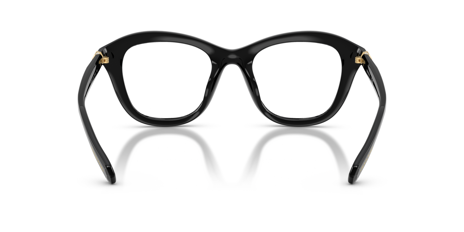 SWAROVSKI SK2042U 1001 48