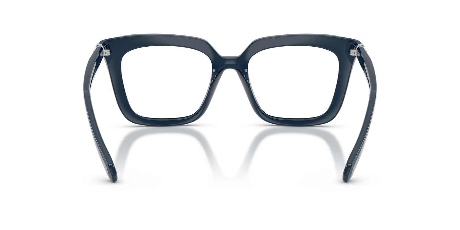 SWAROVSKI SK2043 1004 51