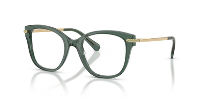 SWAROVSKI SK2044 1043 51