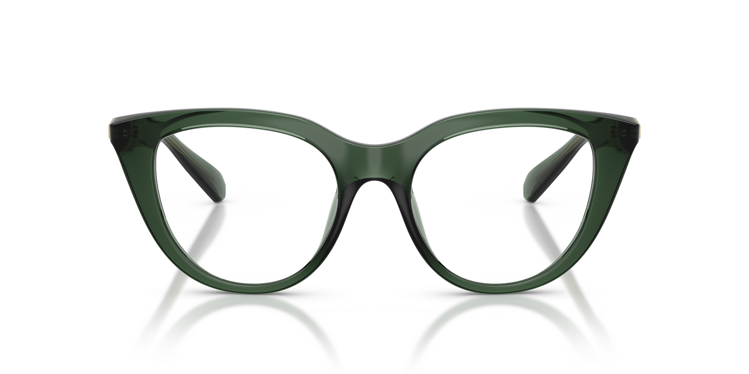 SWAROVSKI SK2052 1043 49