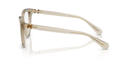 SWAROVSKI SK2052 3003 49