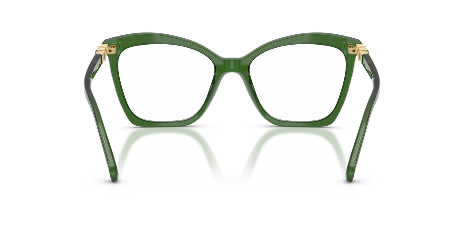 SWAROVSKI SK2053 1081 54