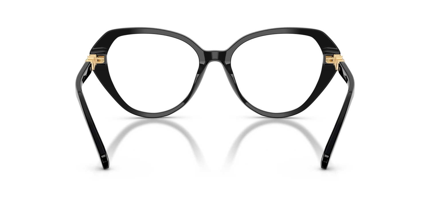 SWAROVSKI SK2054 1001 53