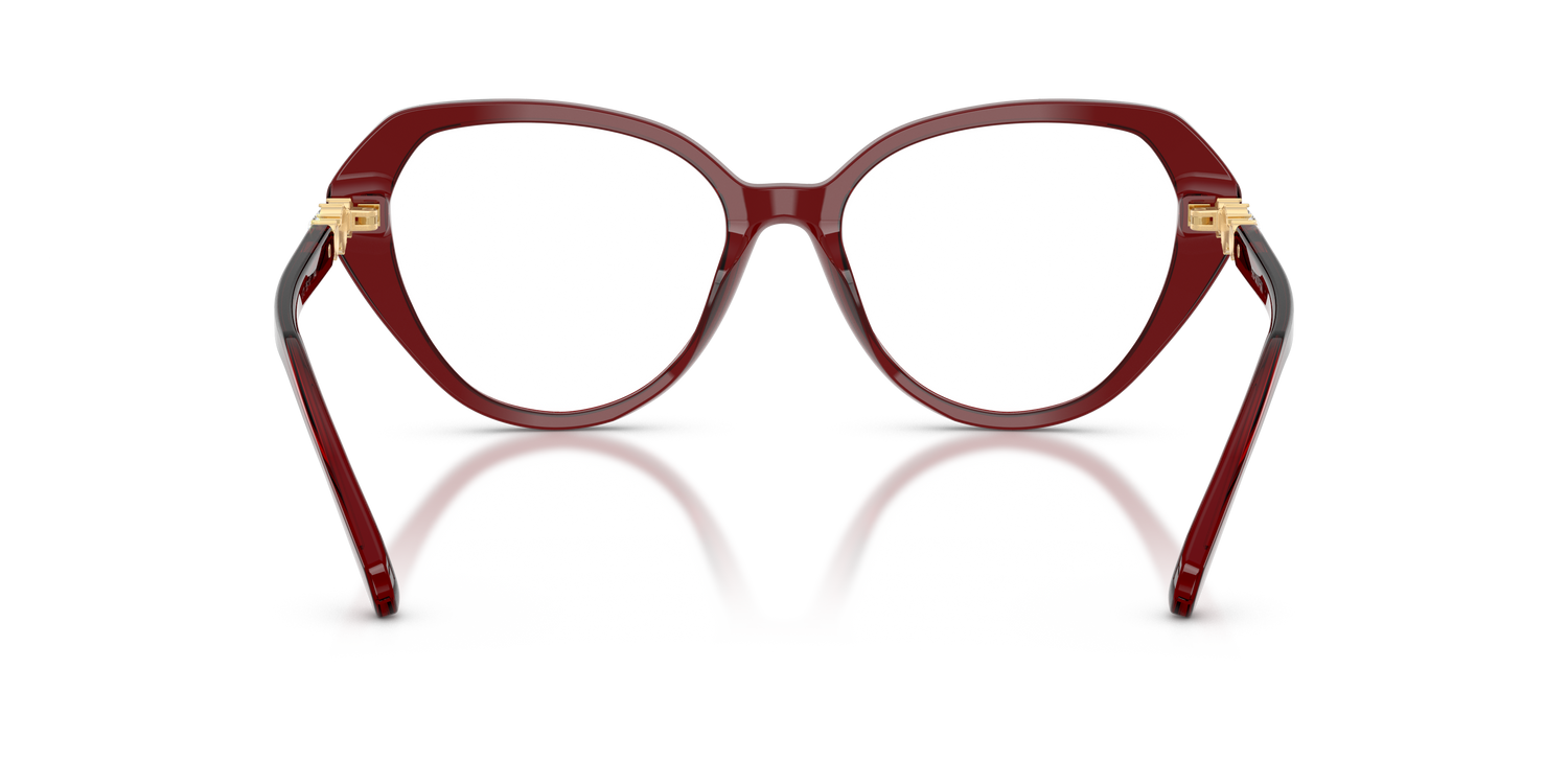 SWAROVSKI SK2054 1073 55