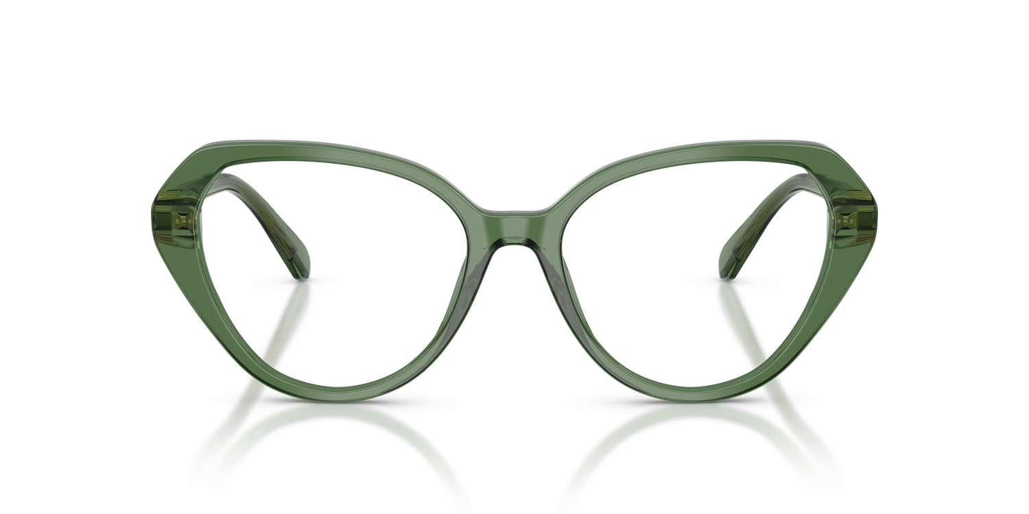 SWAROVSKI SK2054 1085 55