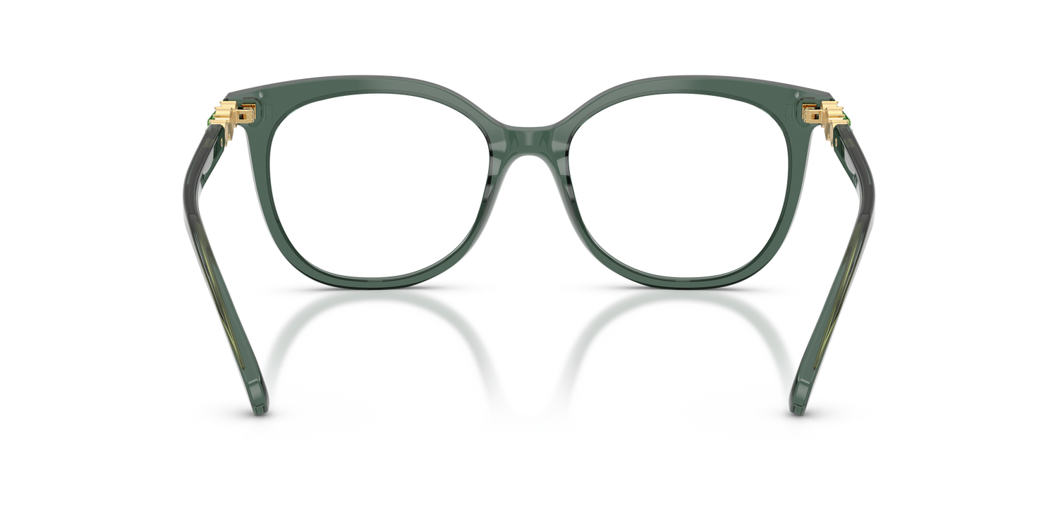 SWAROVSKI SK2055 1043 54