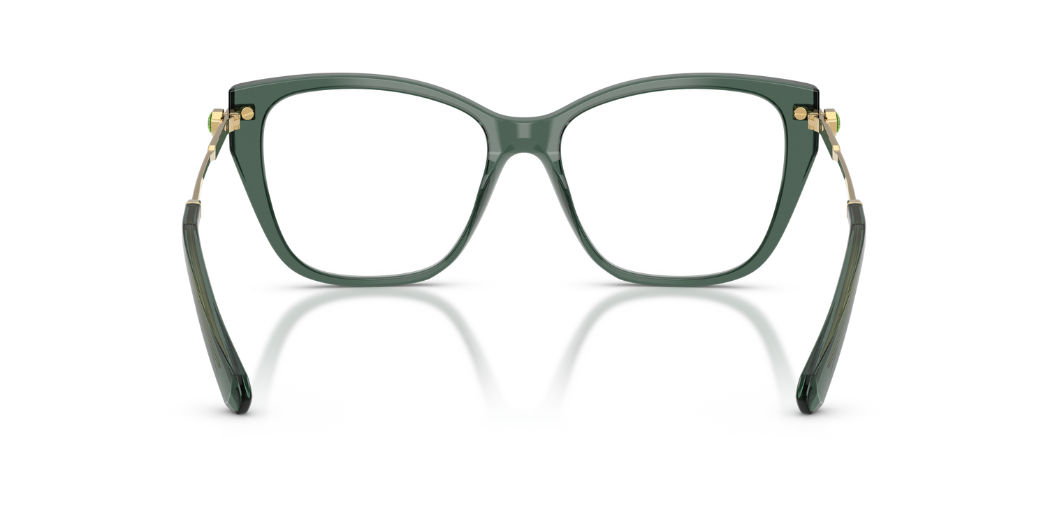 SWAROVSKI SK2060 1043 55