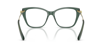SWAROVSKI SK2060 1043 55