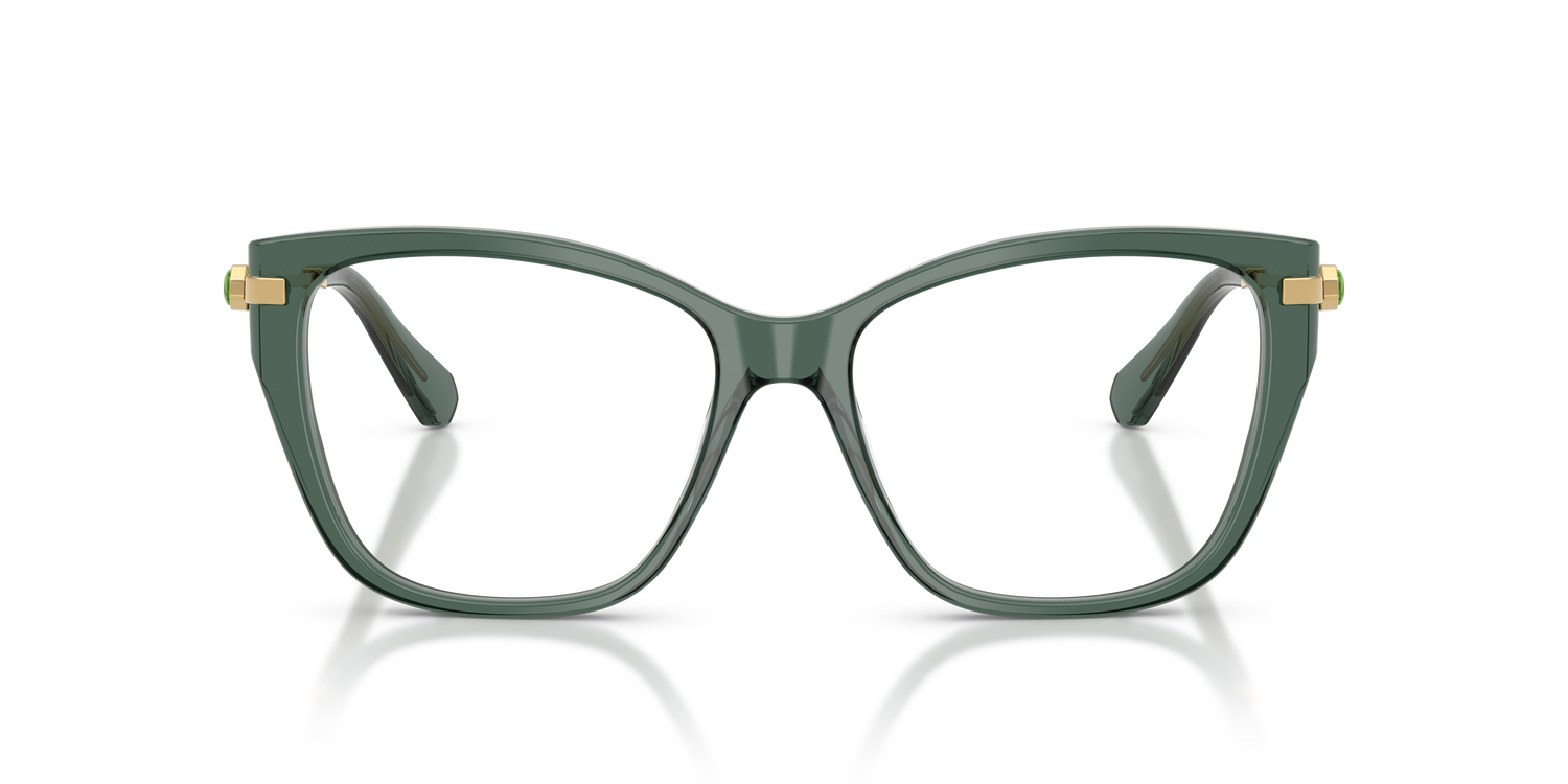 SWAROVSKI SK2060 1043 55