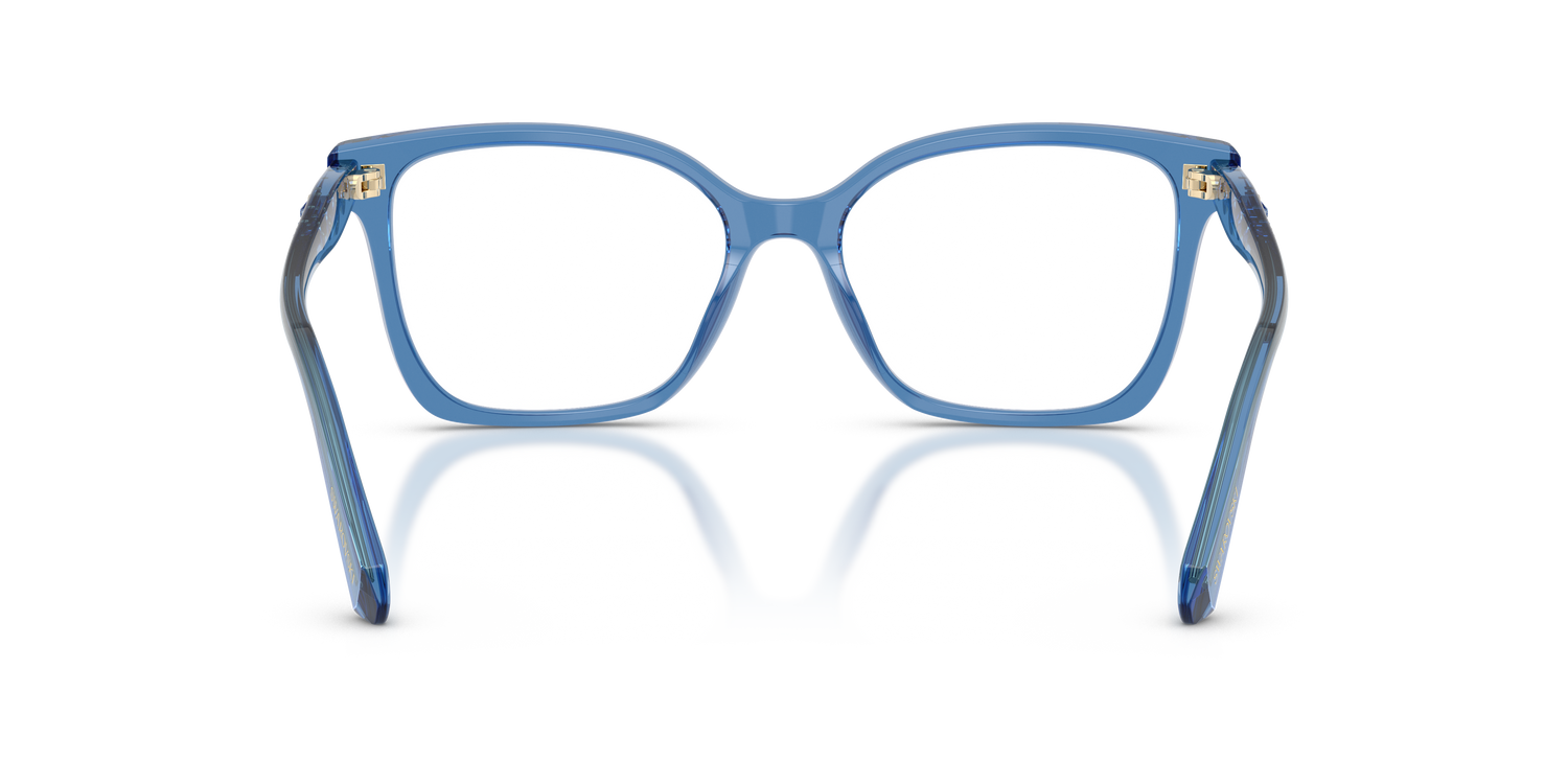 SWAROVSKI SK2061 1100 55