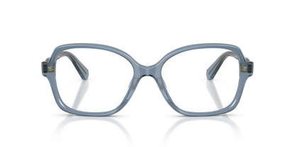 SWAROVSKI SK2063 1102 54
